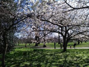 Read more about the article 5 Iconic London Parks