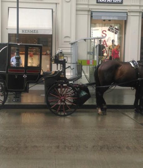 Carriage Rides, Vienna