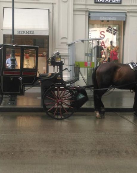 Carriage Rides, Vienna
