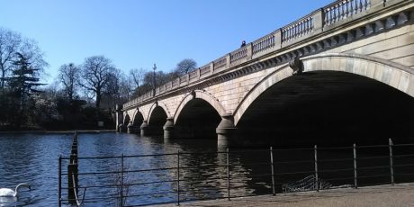serpentine bridge